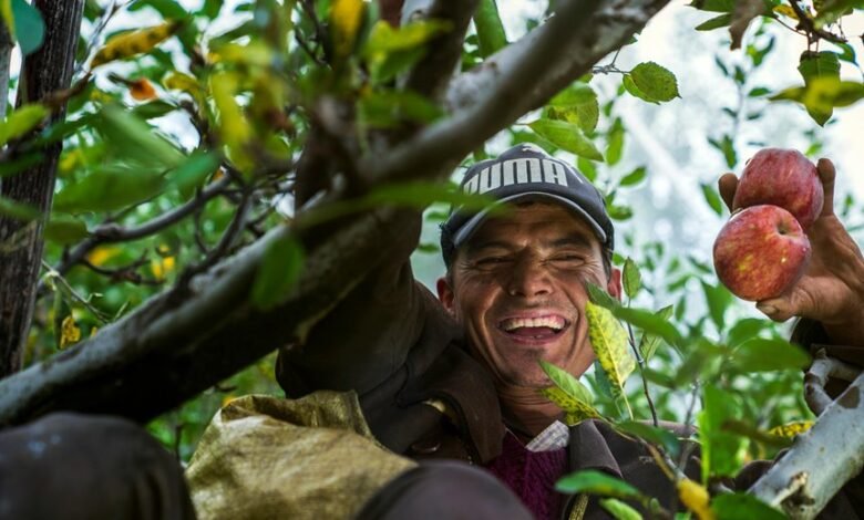 nip india grow initiative